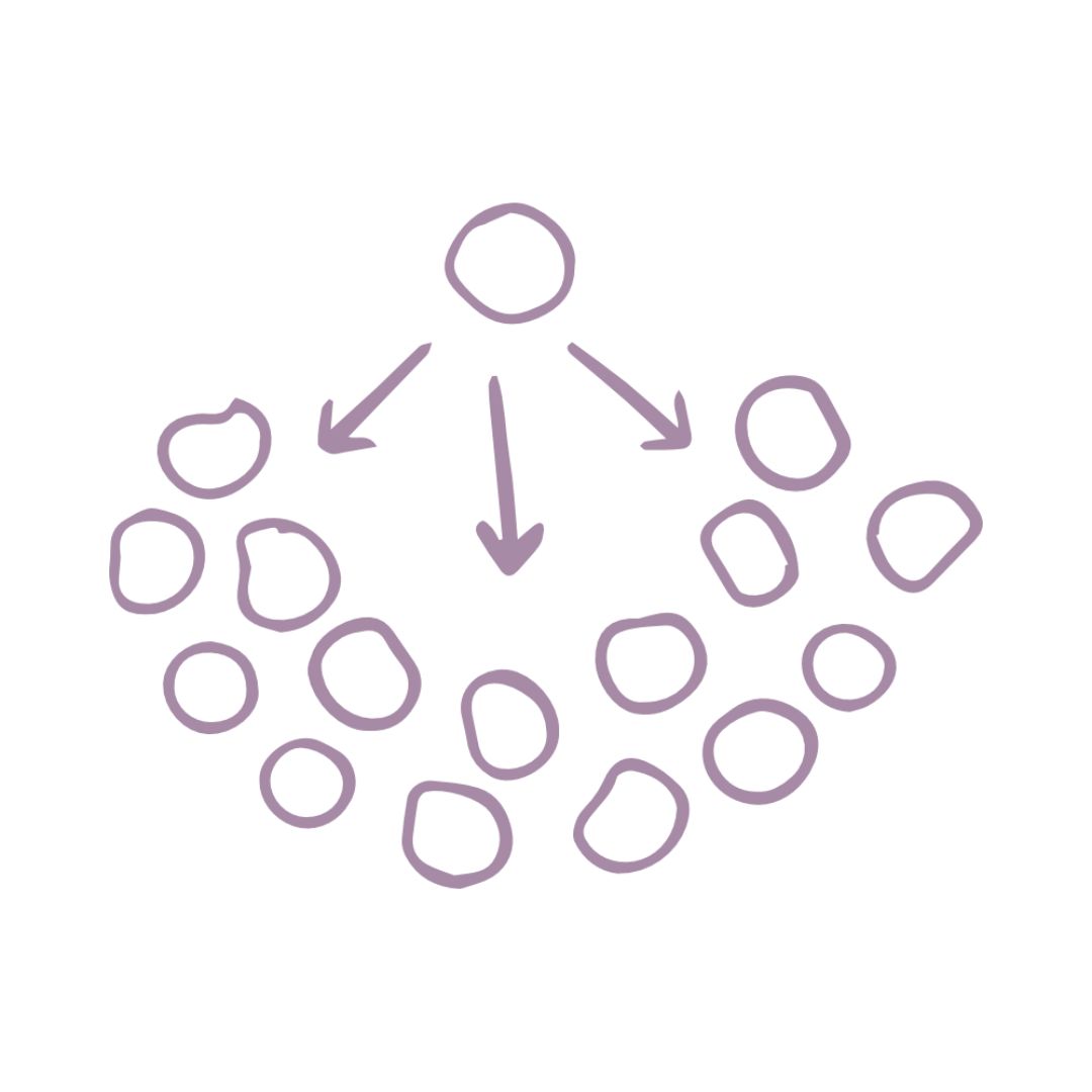 SP-picto-formation02-violet